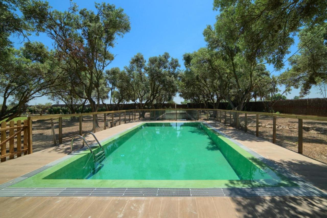 Finca Olivar De La Bardena Guest House Tudela Exterior photo